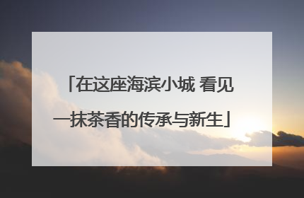 在这座海滨小城 看见一抹茶香的传承与新生