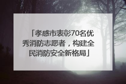 孝感市表彰70名优秀消防志愿者，构建全民消防安全新格局