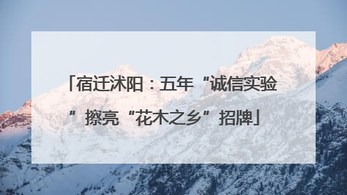 宿迁沭阳：五年“诚信实验”擦亮“花木之乡”招牌