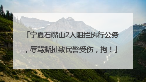宁夏石嘴山2人阻拦执行公务，辱骂撕扯致民警受伤，拘！