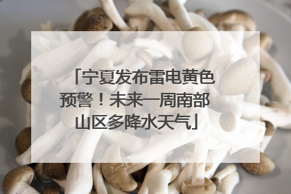 宁夏发布雷电黄色预警！未来一周南部山区多降水天气