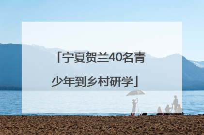 宁夏贺兰40名青少年到乡村研学