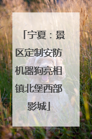 宁夏：景区定制安防机器狗亮相镇北堡西部影城