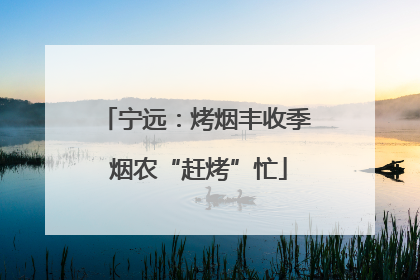 宁远：烤烟丰收季 烟农“赶烤”忙