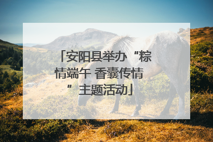 安阳县举办“粽情端午 香囊传情”主题活动