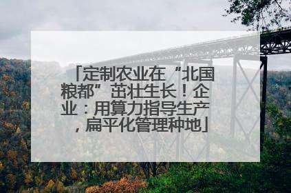 定制农业在“北国粮都”茁壮生长！企业：用算力指导生产，扁平化管理种地