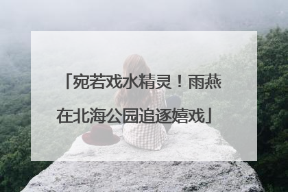宛若戏水精灵！雨燕在北海公园追逐嬉戏