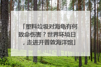 塑料垃圾对海龟有何致命伤害？世界环境日，走进开普敦海洋馆