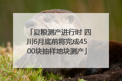 夏粮测产进行时 四川6月底前将完成4500块抽样地块测产