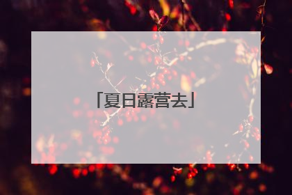 夏日露营去
