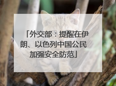 外交部：提醒在伊朗、以色列中国公民加强安全防范