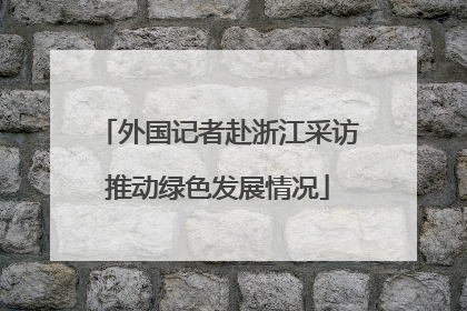 外国记者赴浙江采访推动绿色发展情况