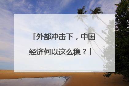 外部冲击下，中国经济何以这么稳？