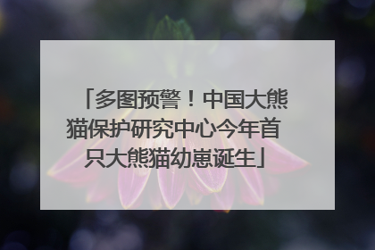 多图预警！中国大熊猫保护研究中心今年首只大熊猫幼崽诞生