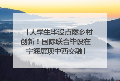 大学生毕设点燃乡村创新！国际联合毕设在宁海展现中西交融