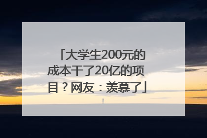 大学生200元的成本干了20亿的项目？网友：羡慕了