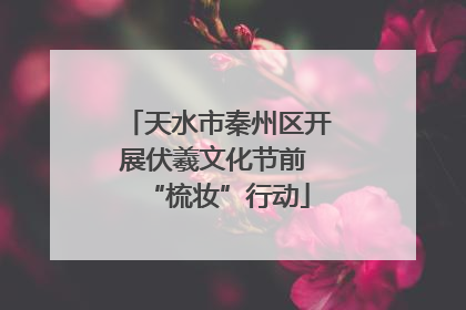 天水市秦州区开展伏羲文化节前 “梳妆”行动