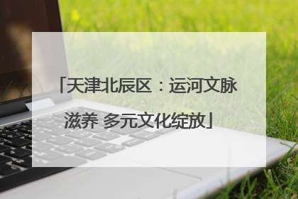 天津北辰区：运河文脉滋养 多元文化绽放