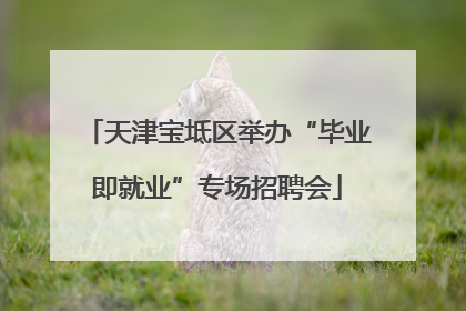 天津宝坻区举办“毕业即就业”专场招聘会