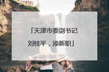 天津市委副书记刘桂平，添新职