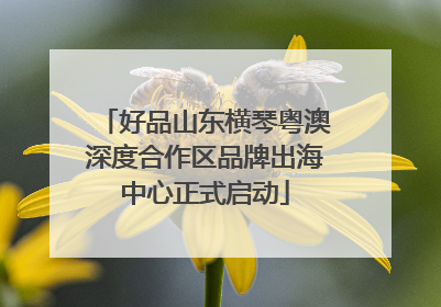 好品山东横琴粤澳深度合作区品牌出海中心正式启动