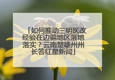 如何推动三明医改经验在边疆地区落地落实？云南楚雄州州长答红星新闻