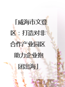 威海市文登区：打造对非合作产业园区 助力企业抱团出海
