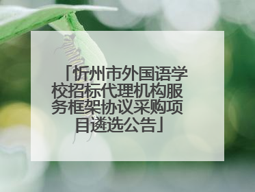 忻州市外国语学校招标代理机构服务框架协议采购项目遴选公告