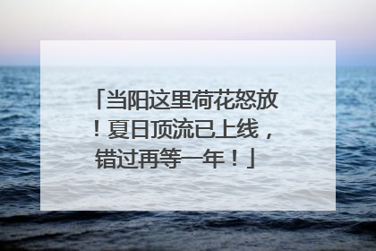 当阳这里荷花怒放！夏日顶流已上线，错过再等一年！