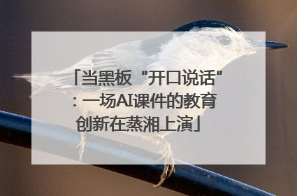 当黑板“开口说话”：一场AI课件的教育创新在蒸湘上演
