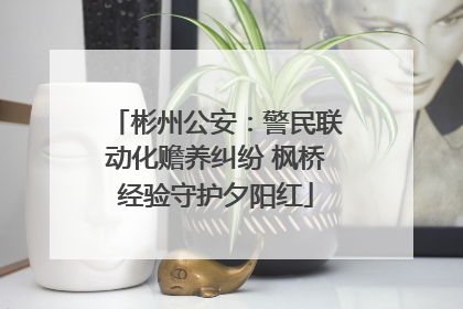 彬州公安：警民联动化赡养纠纷 枫桥经验守护夕阳红