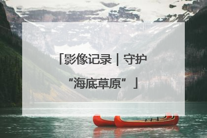 影像记录｜守护“海底草原”