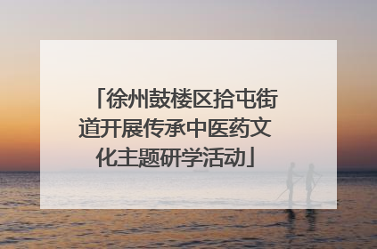徐州鼓楼区拾屯街道开展传承中医药文化主题研学活动