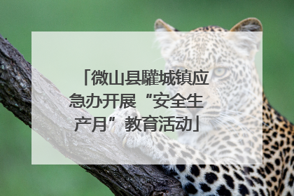 微山县驩城镇应急办开展“安全生产月”教育活动