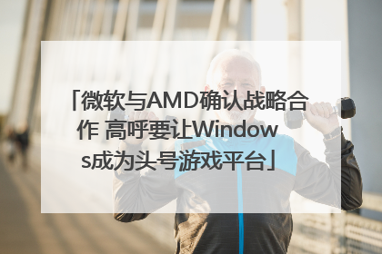 微软与AMD确认战略合作 高呼要让Windows成为头号游戏平台
