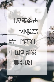 尺素金声｜“小院高墙”挡不住中国创新发展步伐