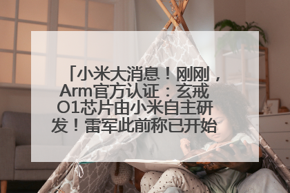 小米大消息！刚刚，Arm官方认证：玄戒O1芯片由小米自主研发！雷军此前称已开始大规模量产