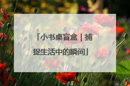 小书桌盲盒｜捕捉生活中的瞬间