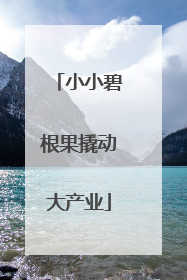 小小碧根果撬动大产业