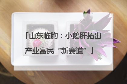山东临朐：小鹅肝拓出产业富民“新赛道”