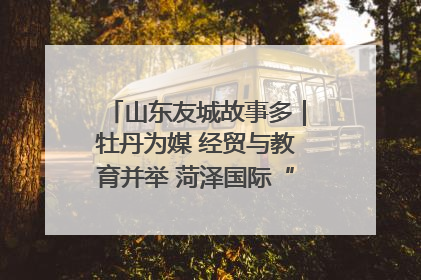 山东友城故事多｜牡丹为媒 经贸与教育并举 菏泽国际“朋友圈”扩容升级