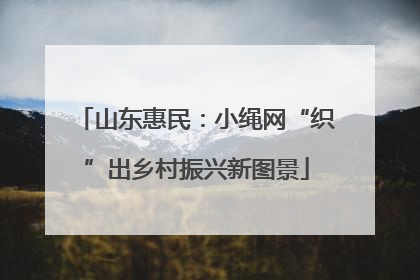 山东惠民：小绳网“织”出乡村振兴新图景