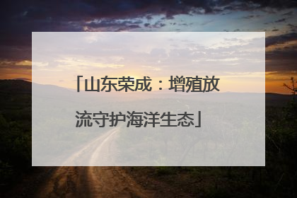 山东荣成：增殖放流守护海洋生态
