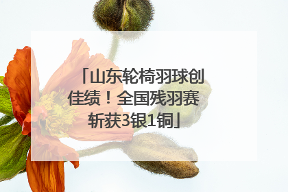 山东轮椅羽球创佳绩！全国残羽赛斩获3银1铜