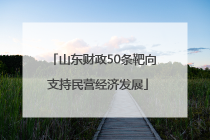 山东财政50条靶向支持民营经济发展