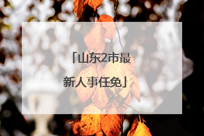 山东2市最新人事任免