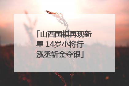 山西围棋再现新星 14岁小将行泓丞斩金夺银