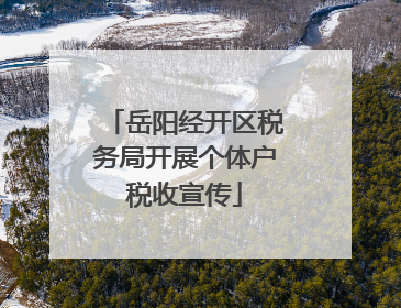 岳阳经开区税务局开展个体户税收宣传
