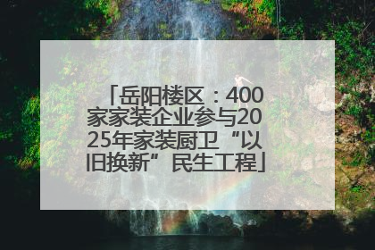 岳阳楼区：400家家装企业参与2025年家装厨卫“以旧换新”民生工程