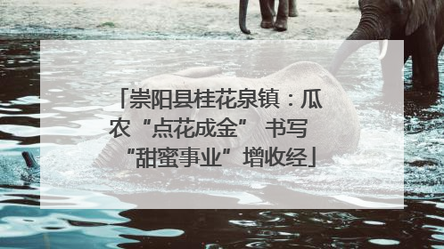 崇阳县桂花泉镇：瓜农“点花成金” 书写“甜蜜事业”增收经